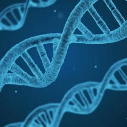 Diferença entre DNA e RNA