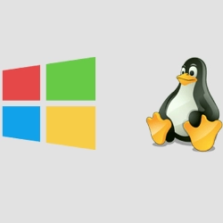 Diferença entre windows e linux